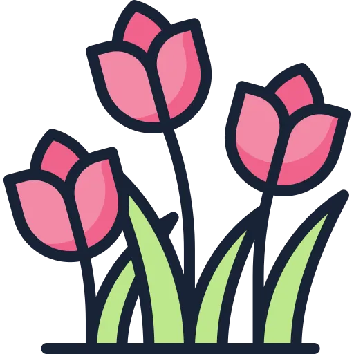 Tulips